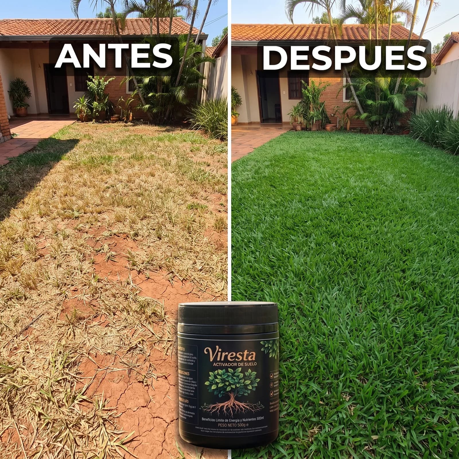 Césped seco y amarillo antes y césped verde y denso después de usar Viresta
